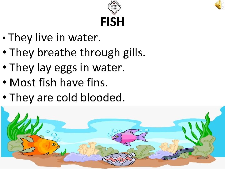 FISH • They live in water. • They breathe through gills. • They lay