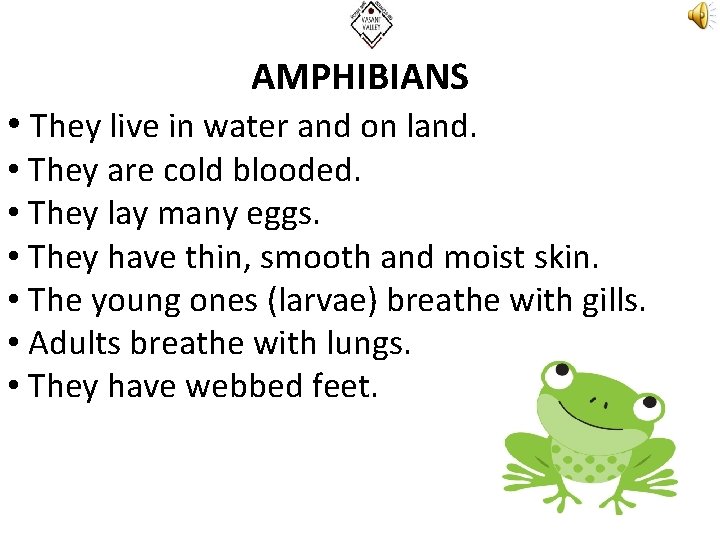 AMPHIBIANS • They live in water and on land. • They are cold blooded.