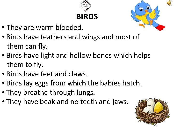 BIRDS • They are warm blooded. • Birds have feathers and wings and most