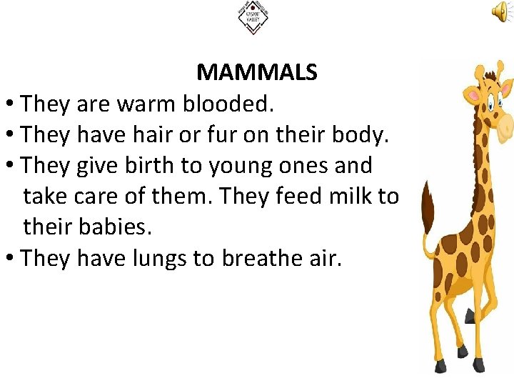 MAMMALS • They are warm blooded. • They have hair or fur on their