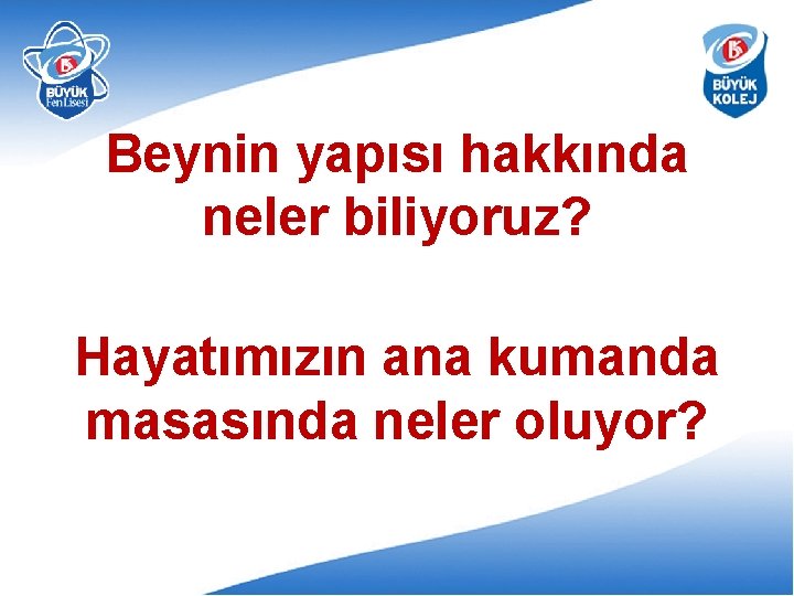 Beynin yapısı hakkında neler biliyoruz? Hayatımızın ana kumanda masasında neler oluyor? 