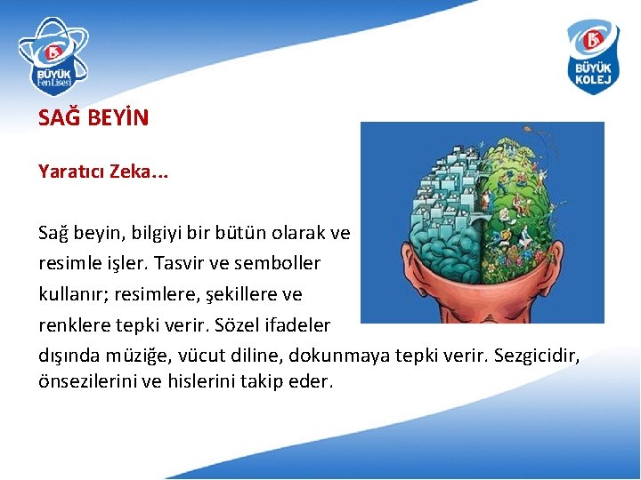 SAĞ BEYİN Yaratıcı Zeka. . . Sağ beyin, bilgiyi bir bütün olarak ve resimle