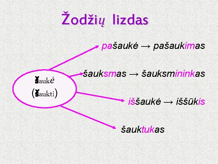 Žodžių lizdas pašaukė → pašaukimas šaukė (šaukti) šauksmas → šauksmininkas iššaukė → iššūkis šauktukas