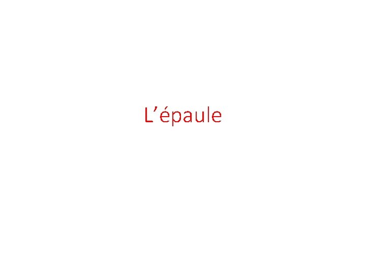 L’épaule 