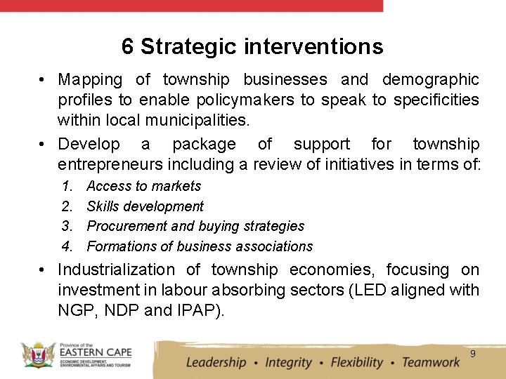 6 Strategic interventions • Mapping of township businesses and demographic profiles to enable policymakers