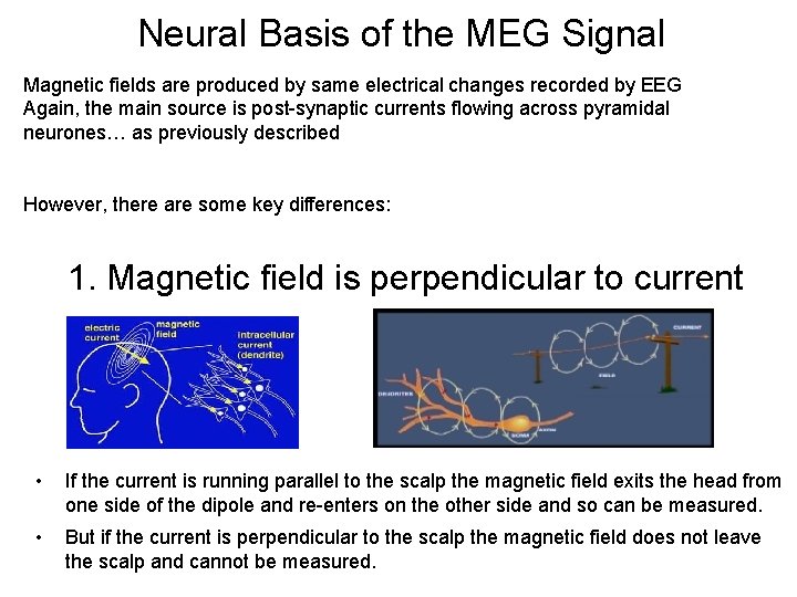 Neural Basis of the MEG Signal Magnetic fields are produced by same electrical changes