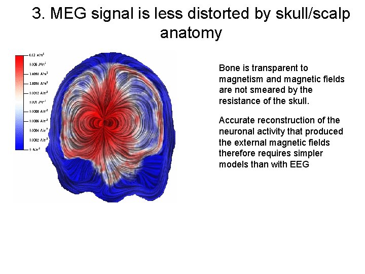 3. MEG signal is less distorted by skull/scalp anatomy Bone is transparent to magnetism