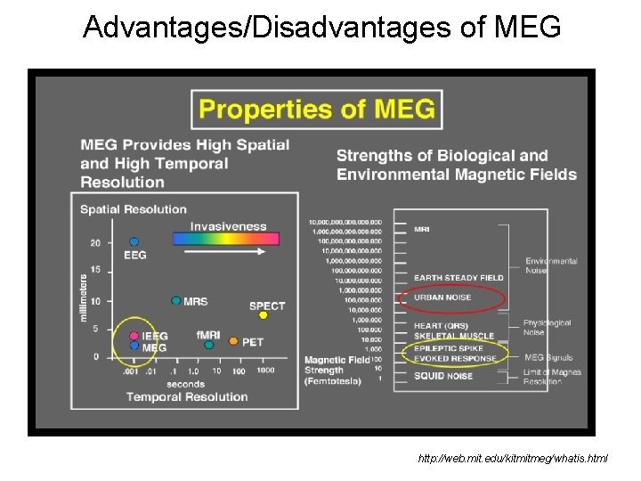 Advantages/Disadvantages of MEG http: //web. mit. edu/kitmitmeg/whatis. html 