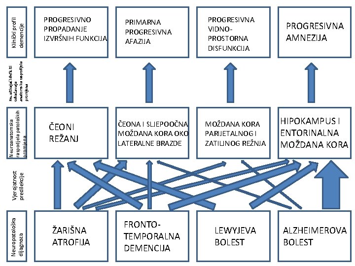 Klinički profil demencije PRIMARNA PROGRESIVNA AFAZIJA PROGRESIVNA VIDNOPROSTORNA DISFUNKCIJA PROGRESIVNA AMNEZIJA ČEONI REŽANJ ČEONA