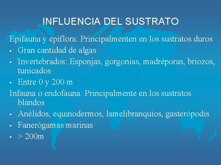 INFLUENCIA DEL SUSTRATO Epifauna y epiflora: Principalmenten en los sustratos duros • Gran cantidad
