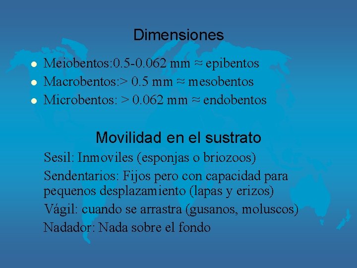 Dimensiones l l l Meiobentos: 0. 5 -0. 062 mm ≈ epibentos Macrobentos: >