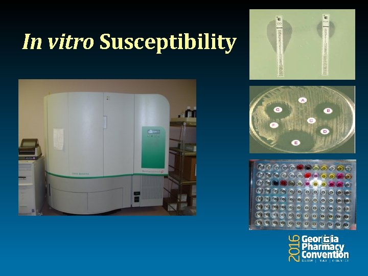 In vitro Susceptibility 
