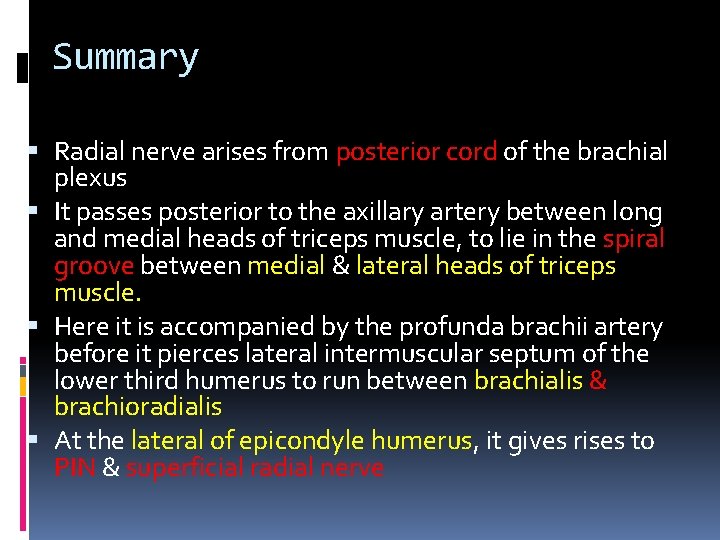 Summary Radial nerve arises from posterior cord of the brachial plexus It passes posterior