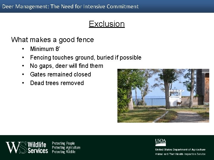 Deer Management: The Need for Intensive Commitment Exclusion What makes a good fence •