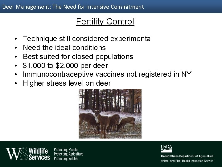 Deer Management: The Need for Intensive Commitment Fertility Control • • • Technique still
