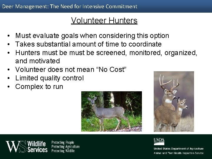 Deer Management: The Need for Intensive Commitment Volunteer Hunters • Must evaluate goals when