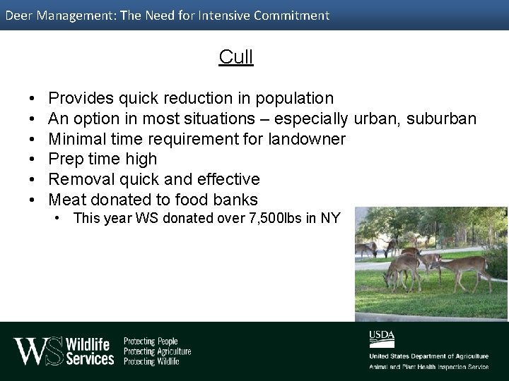 Deer Management: The Need for Intensive Commitment Cull • • • Provides quick reduction