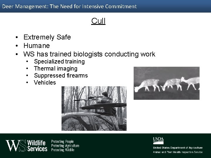 Deer Management: The Need for Intensive Commitment Cull • Extremely Safe • Humane •