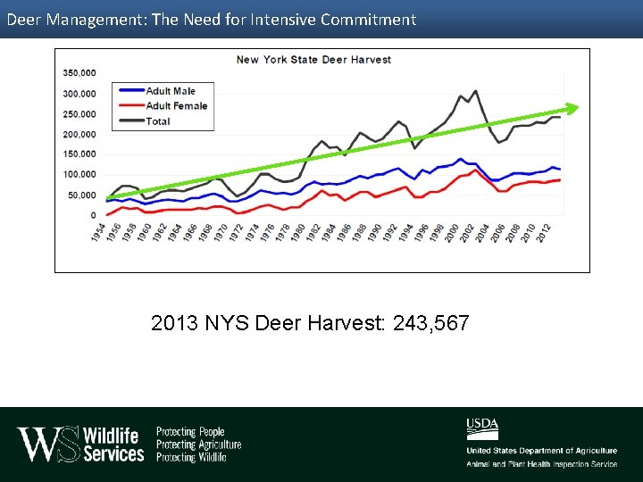 Deer Management: The Need for Intensive Commitment 2013 NYS Deer Harvest: 243, 567 