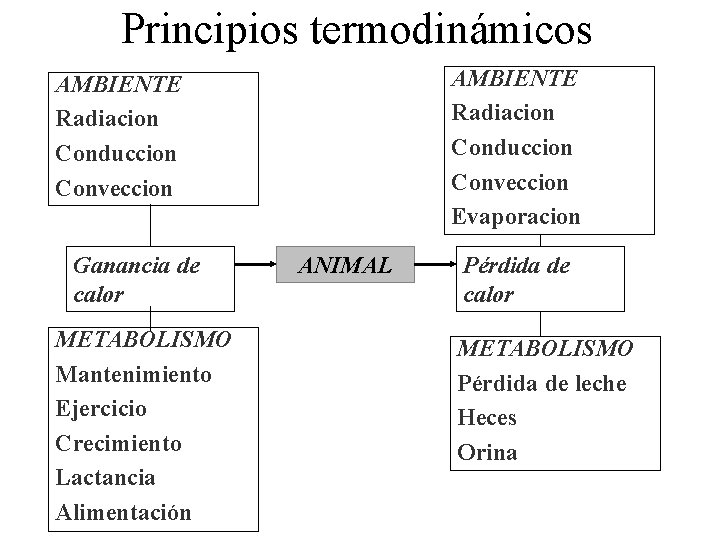 Principios termodinámicos AMBIENTE Radiacion Conduccion Conveccion Evaporacion AMBIENTE Radiacion Conduccion Conveccion Ganancia de calor