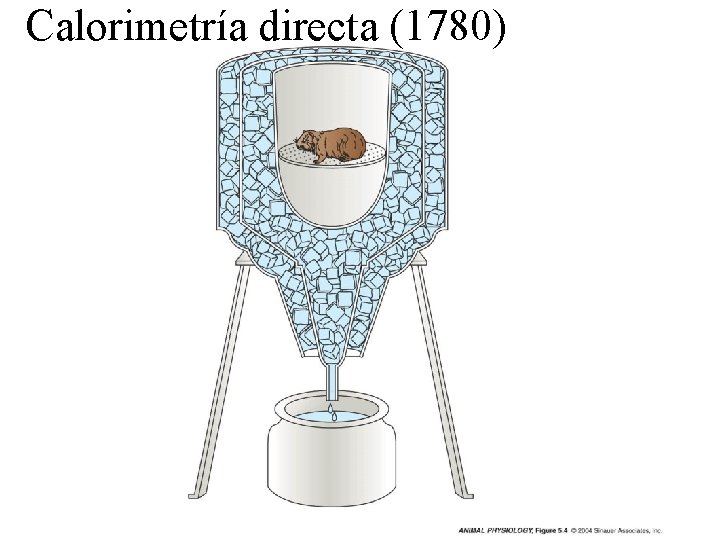 Calorimetría directa (1780) 