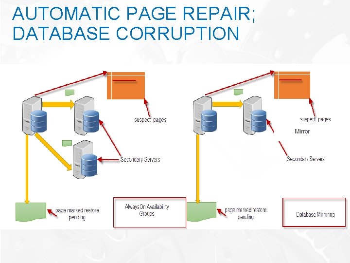 AUTOMATIC PAGE REPAIR; DATABASE CORRUPTION 