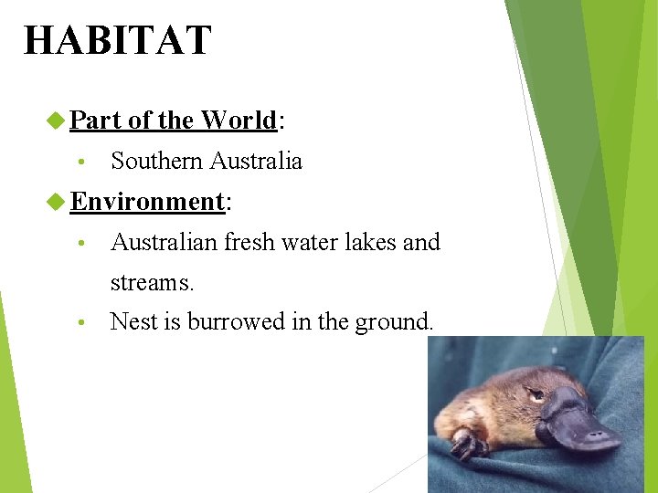 HABITAT Part • of the World: Southern Australia Environment: • Australian fresh water lakes