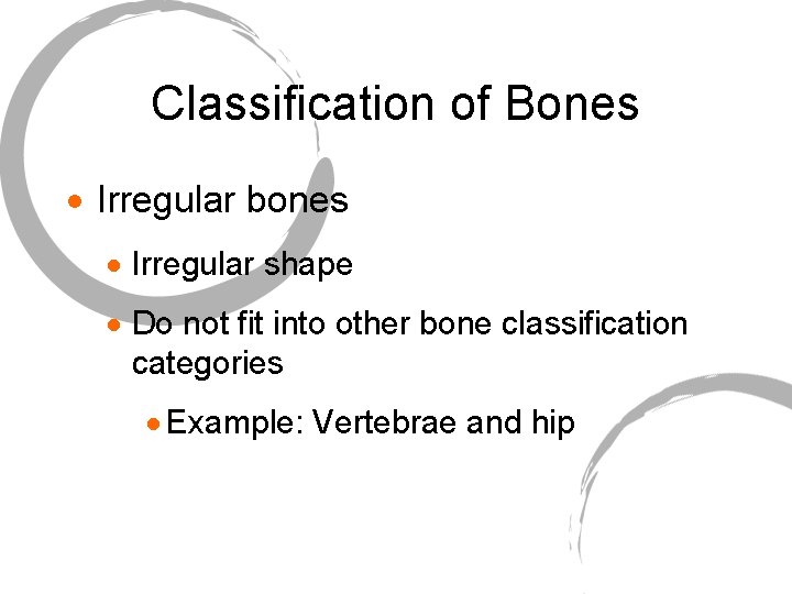Classification of Bones · Irregular bones · Irregular shape · Do not fit into