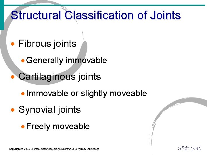 Structural Classification of Joints · Fibrous joints · Generally immovable · Cartilaginous joints ·