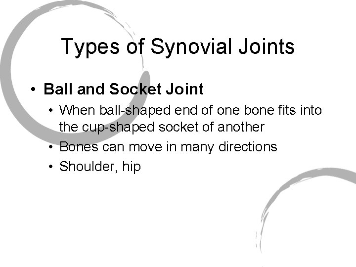 Types of Synovial Joints • Ball and Socket Joint • When ball-shaped end of