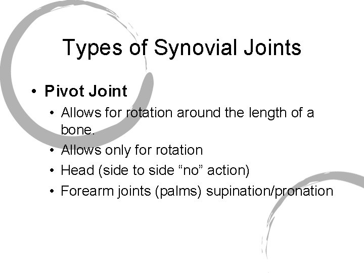 Types of Synovial Joints • Pivot Joint • Allows for rotation around the length