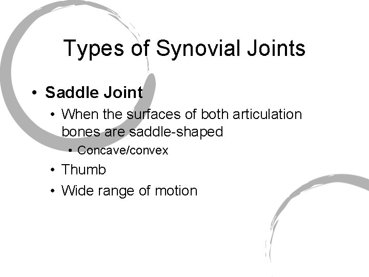 Types of Synovial Joints • Saddle Joint • When the surfaces of both articulation