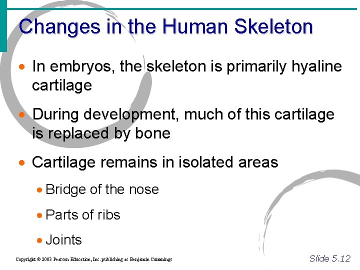 Changes in the Human Skeleton · In embryos, the skeleton is primarily hyaline cartilage