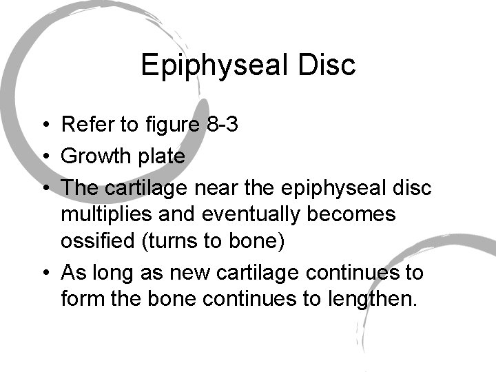 Epiphyseal Disc • Refer to figure 8 -3 • Growth plate • The cartilage