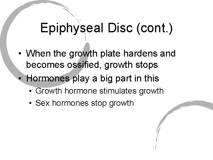 Epiphyseal Disc (cont. ) • When the growth plate hardens and becomes ossified, growth