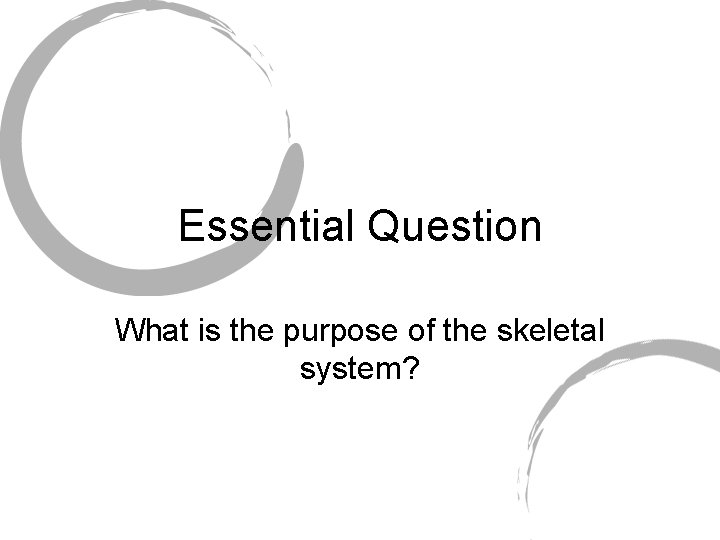 Essential Question What is the purpose of the skeletal system? 
