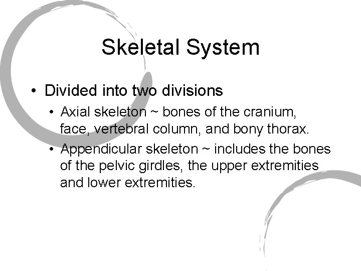 Skeletal System • Divided into two divisions • Axial skeleton ~ bones of the