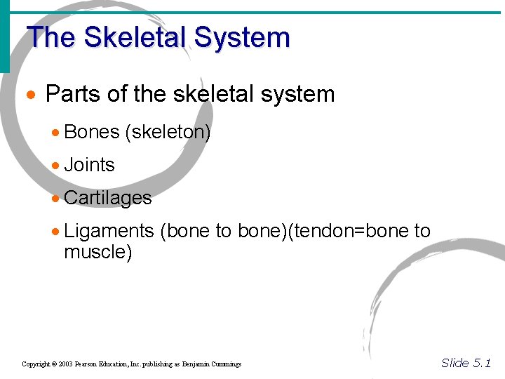 The Skeletal System · Parts of the skeletal system · Bones (skeleton) · Joints