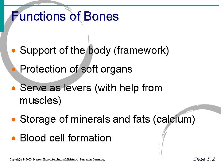 Functions of Bones · Support of the body (framework) · Protection of soft organs