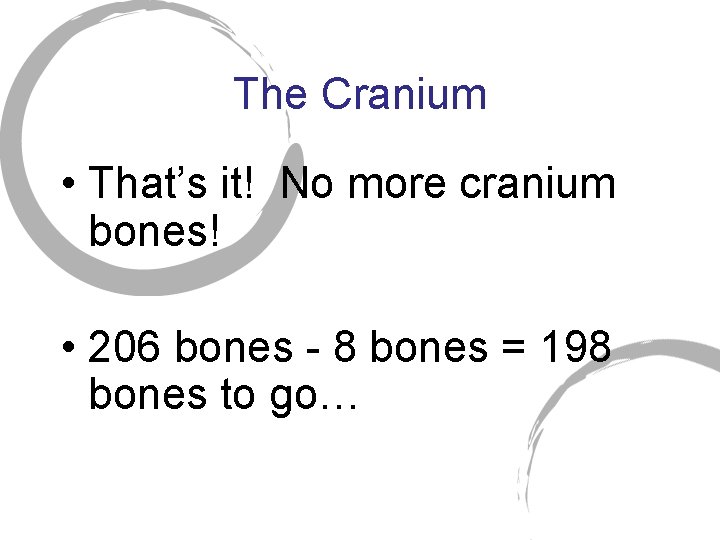 The Cranium • That’s it! No more cranium bones! • 206 bones - 8