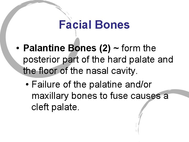 Facial Bones • Palantine Bones (2) ~ form the posterior part of the hard