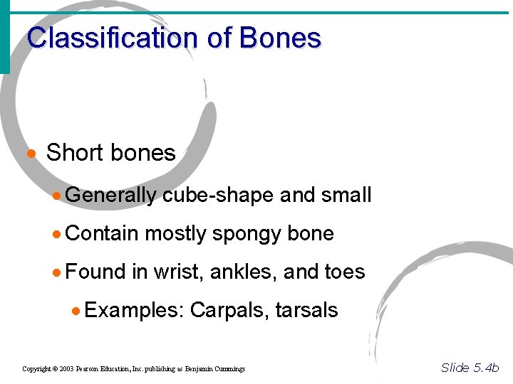 Classification of Bones · Short bones · Generally cube-shape and small · Contain mostly