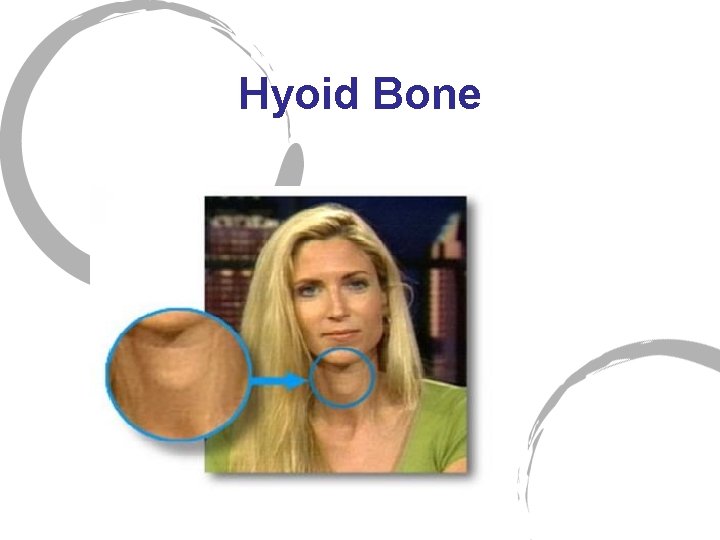 Hyoid Bone 