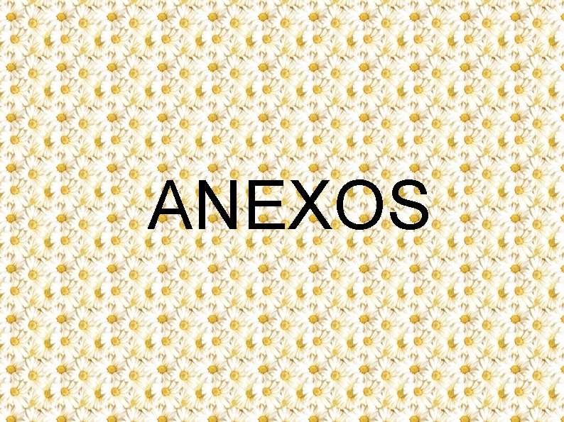 ANEXOS 