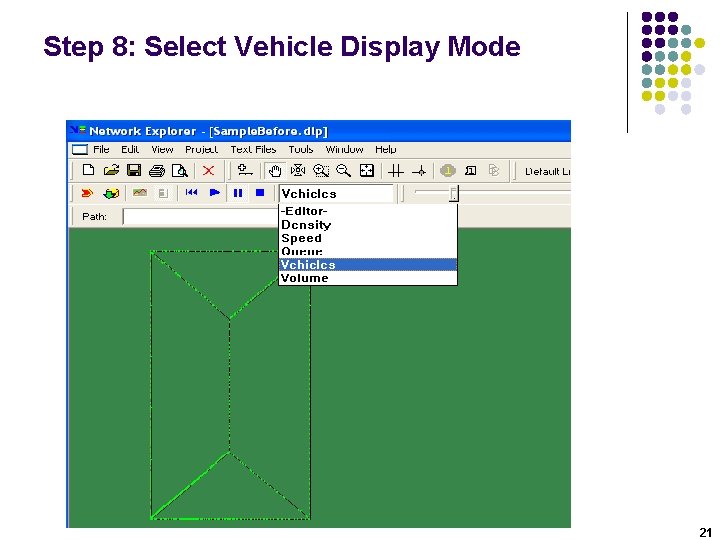 Step 8: Select Vehicle Display Mode 21 