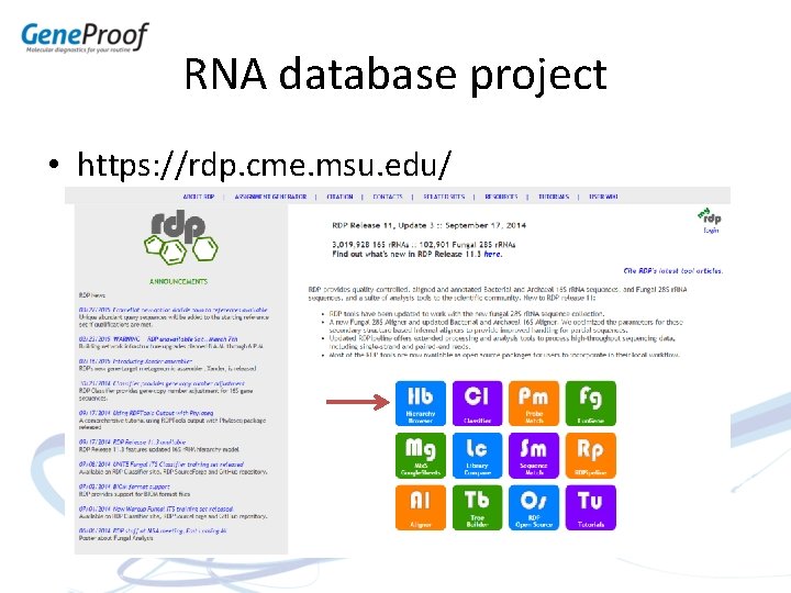 RNA database project • https: //rdp. cme. msu. edu/ 