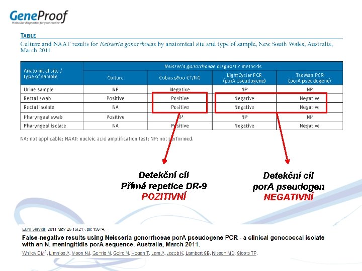 Detekční cíl Přímá repetice DR-9 POZITIVNÍ Detekční cíl por. A pseudogen NEGATIVNÍ 