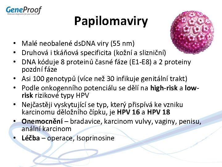 Papilomaviry • Malé neobalené ds. DNA viry (55 nm) • Druhová i tkáňová specificita