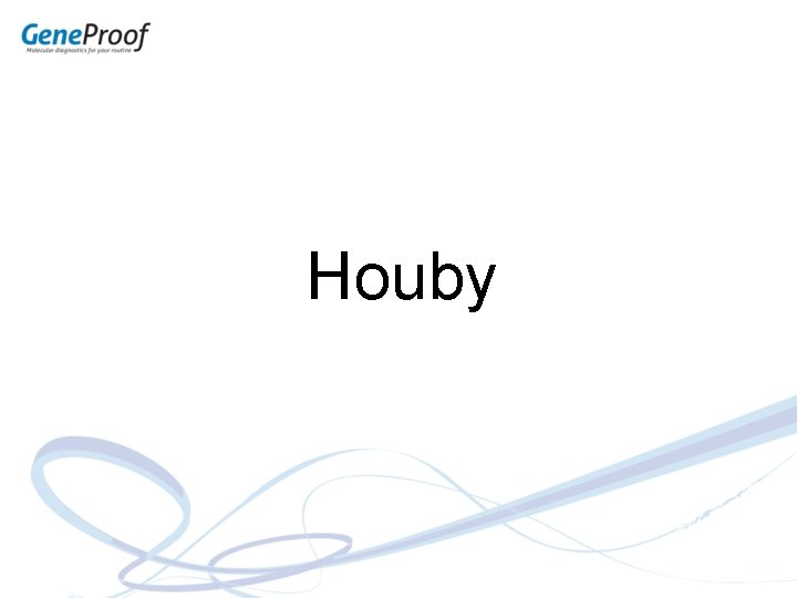 Houby 