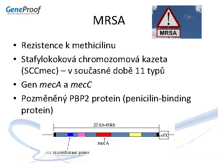 MRSA • Rezistence k methicilinu • Stafylokoková chromozomová kazeta (SCCmec) – v současné době